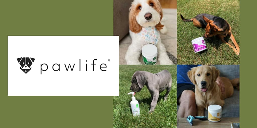 Image: Four dogs sitting with their Pawlife Treats
