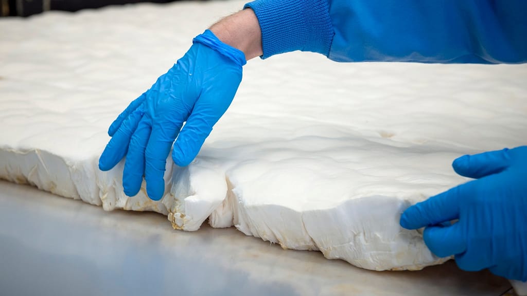Image: One of the slabs made of mushrooms that is cut to create mushroom bacon.