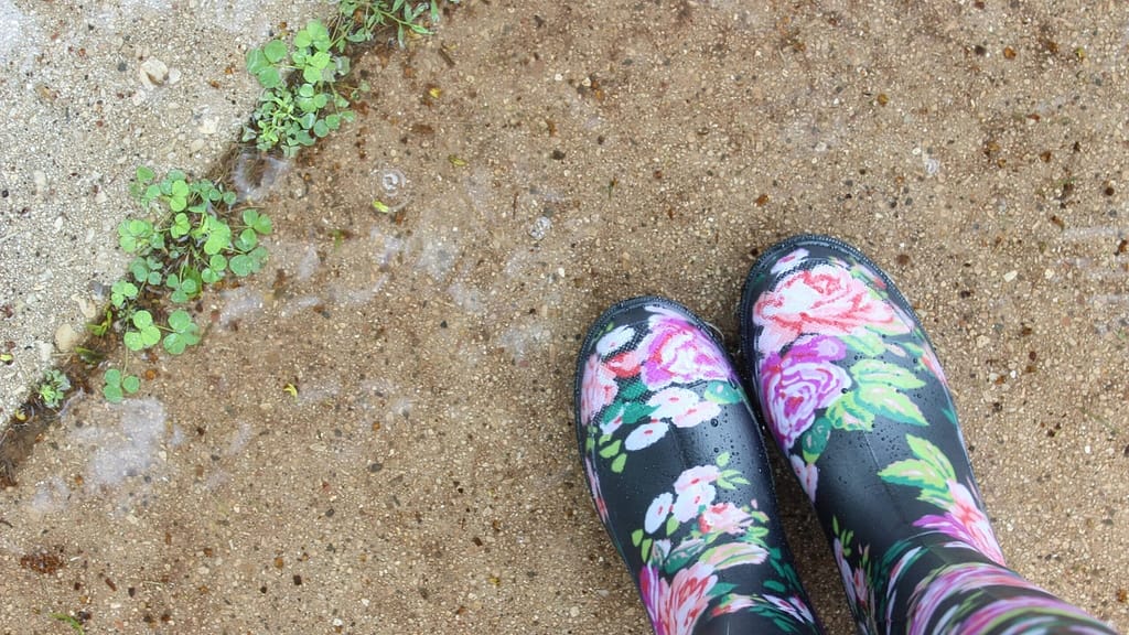 Image: Weeds growing in the cracks of a sidewalk, and a pair of floral patterned rain boots. 