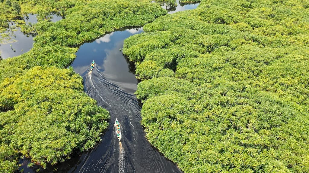 Image: Two boats headed up a river in the Amazon rainforest