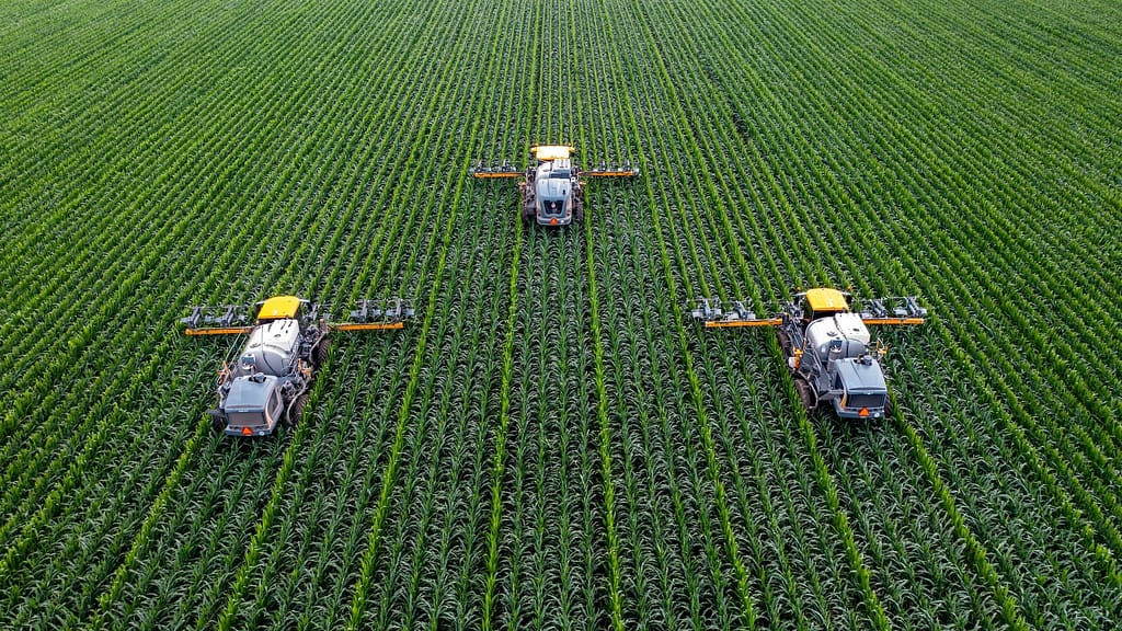 Image: Three farming machines detasseling corn in Illinois. These machines may soon be operated by artificial intelligence