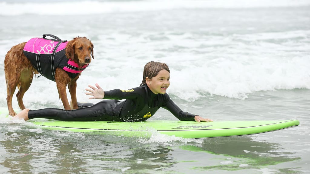 Image: Surfing therapy dog Richochet on a surfboard with a young girl.