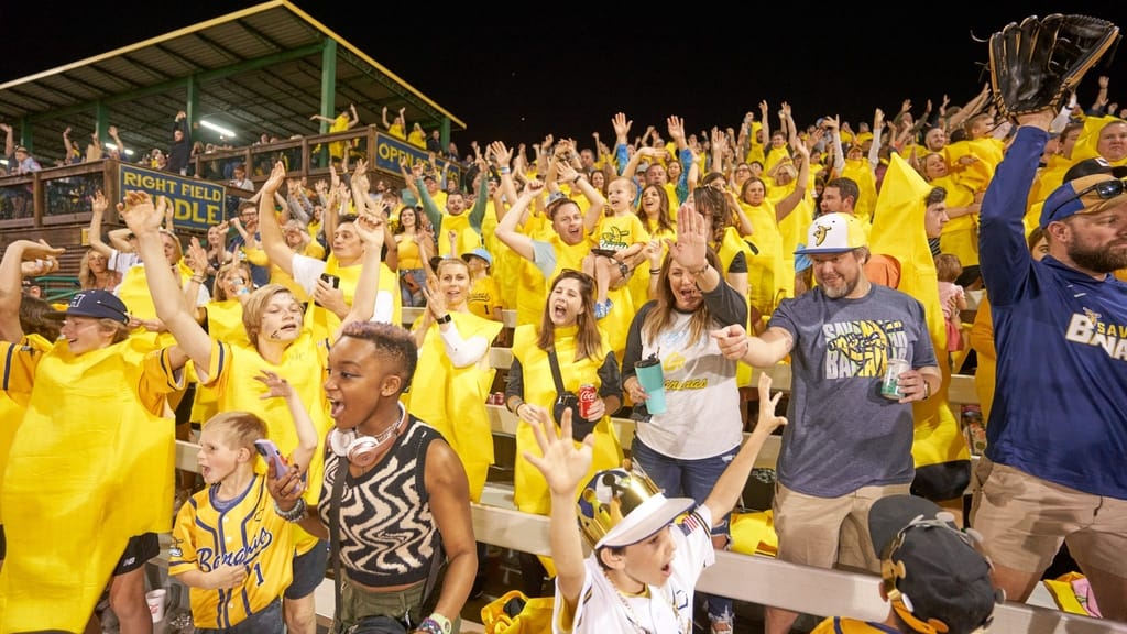 Image: A crowd of screaming fans at a Savannah Bananas game