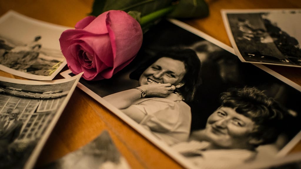 Image: A photo of two women, capturing a memory of them sitting and smiling towards the camera.