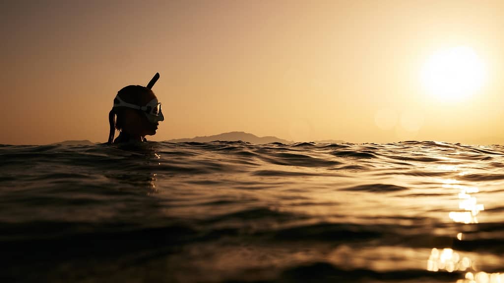 Image: A woman wearing a snorkel treading in the water at sunset, much like the Vigies Requins (shark spotters) in Réunion. 