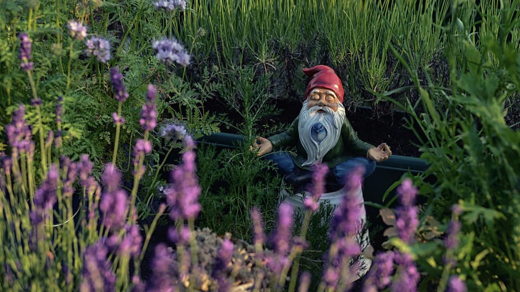 Image: A garden gnome, sitting in a garden looking perfectly content