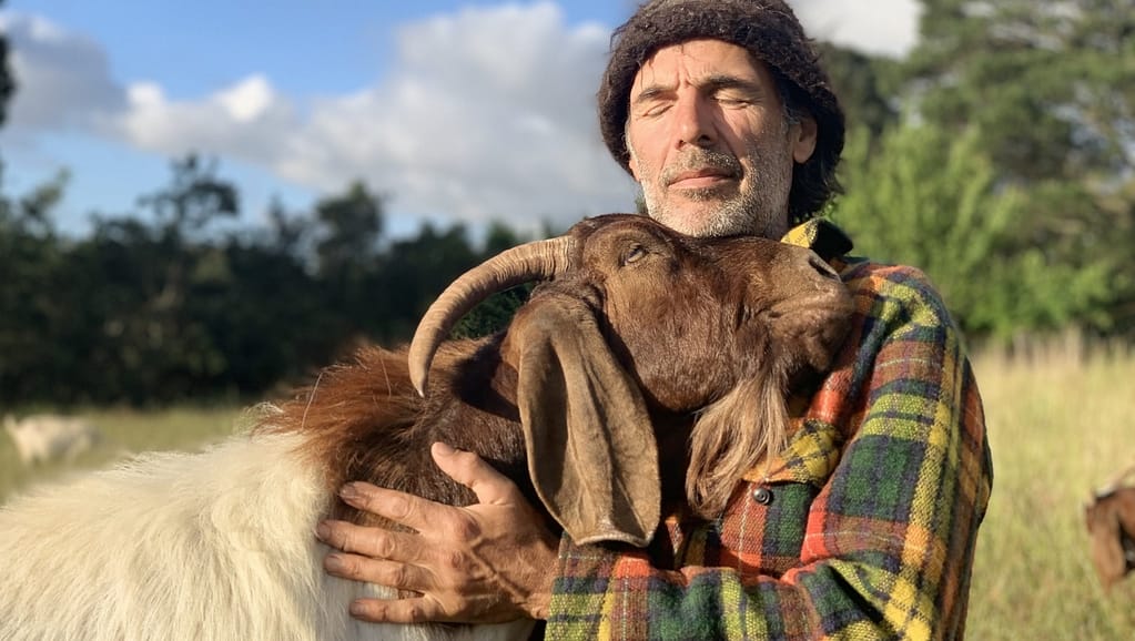 Image: Person hugging goat