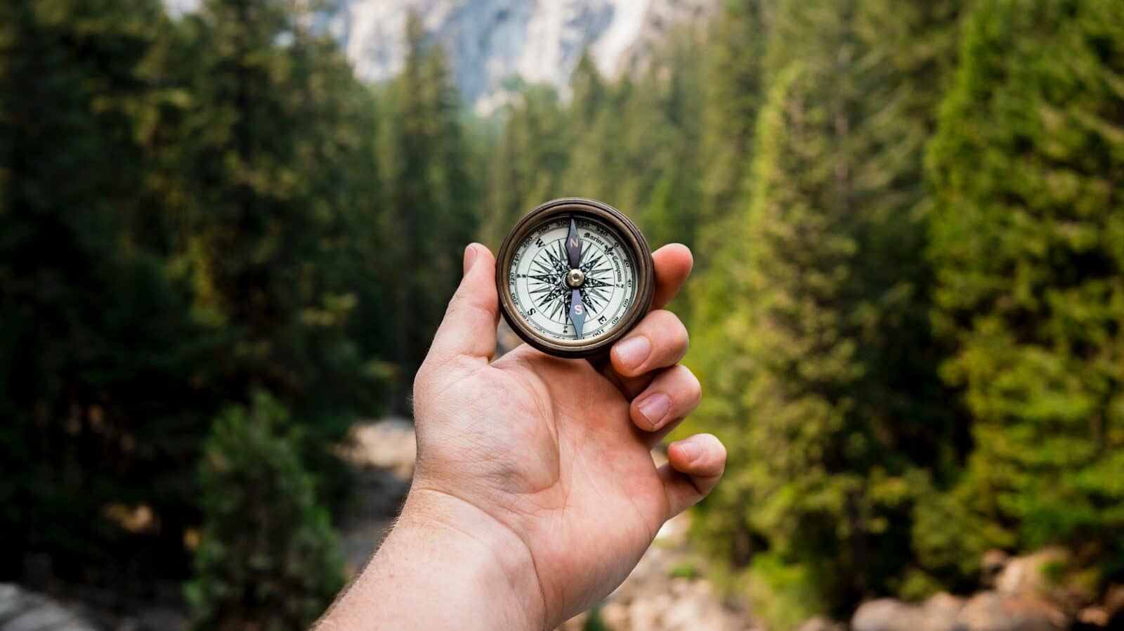 person holding compass facing towards green pine trees