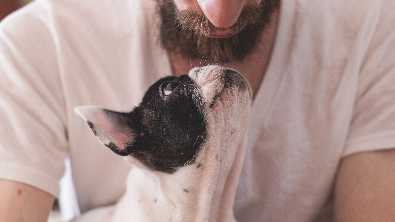 Image: dog and owner looking lovingly at each other