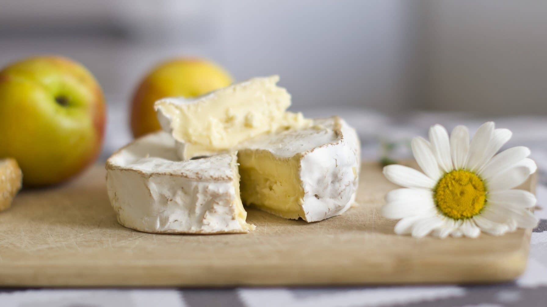 Image: Cheese with a daisy