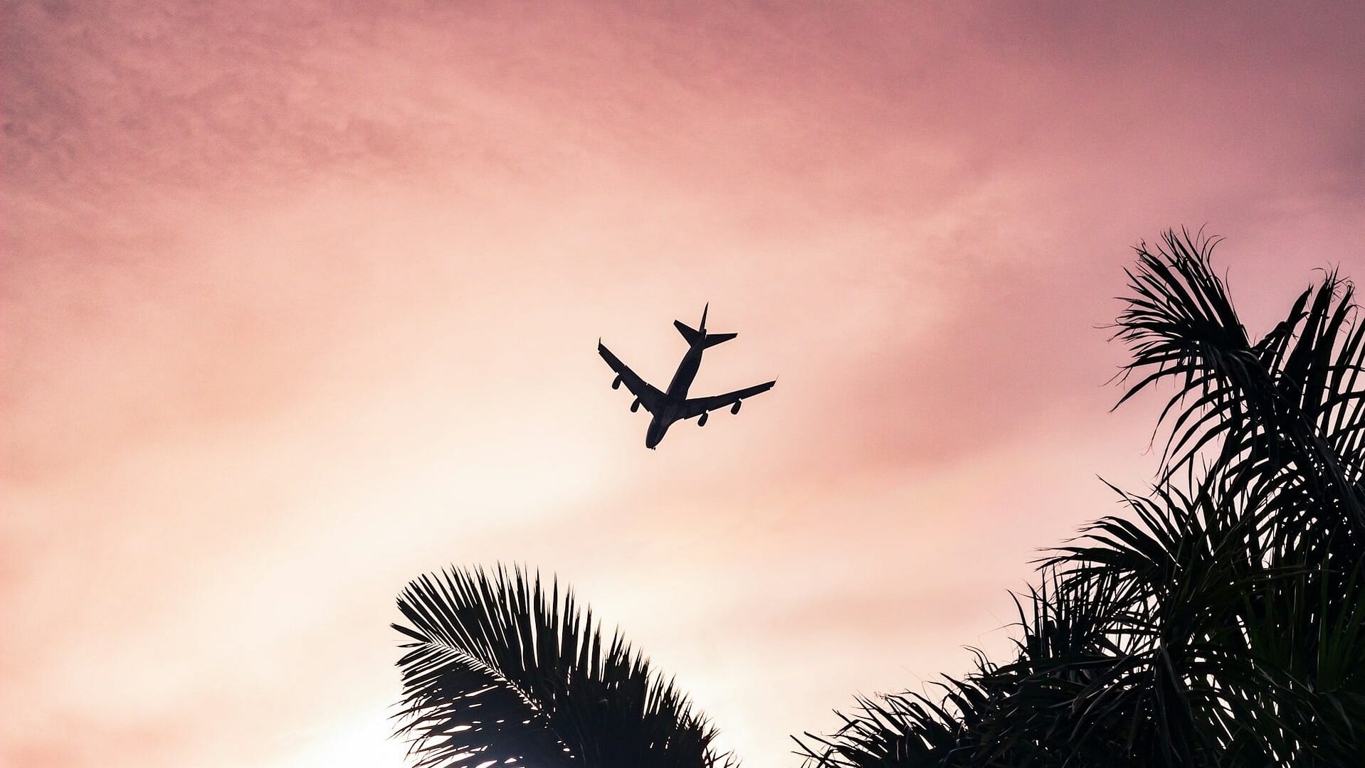 Image: silhouette of an airplane above palm trees