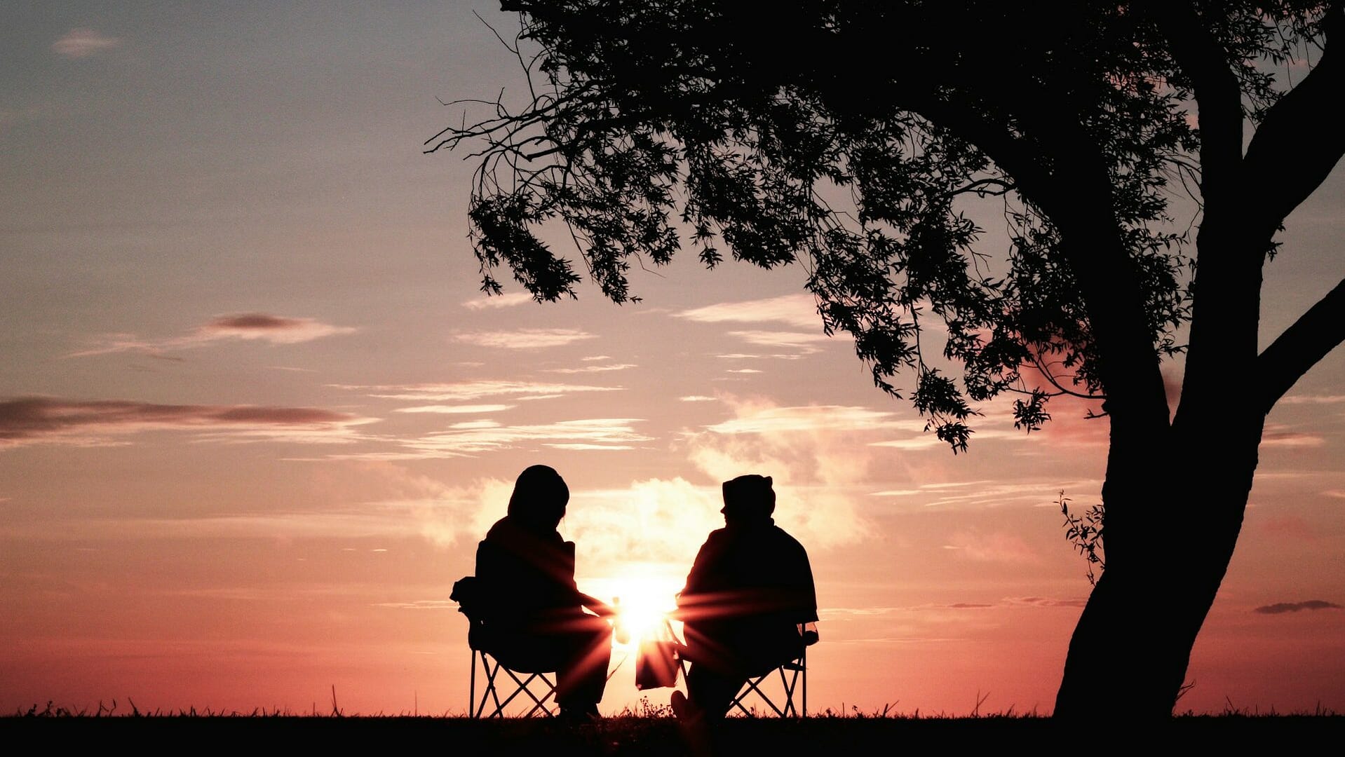 Image: two people sitting in chairs underneath a tree silhouetted against a sunset