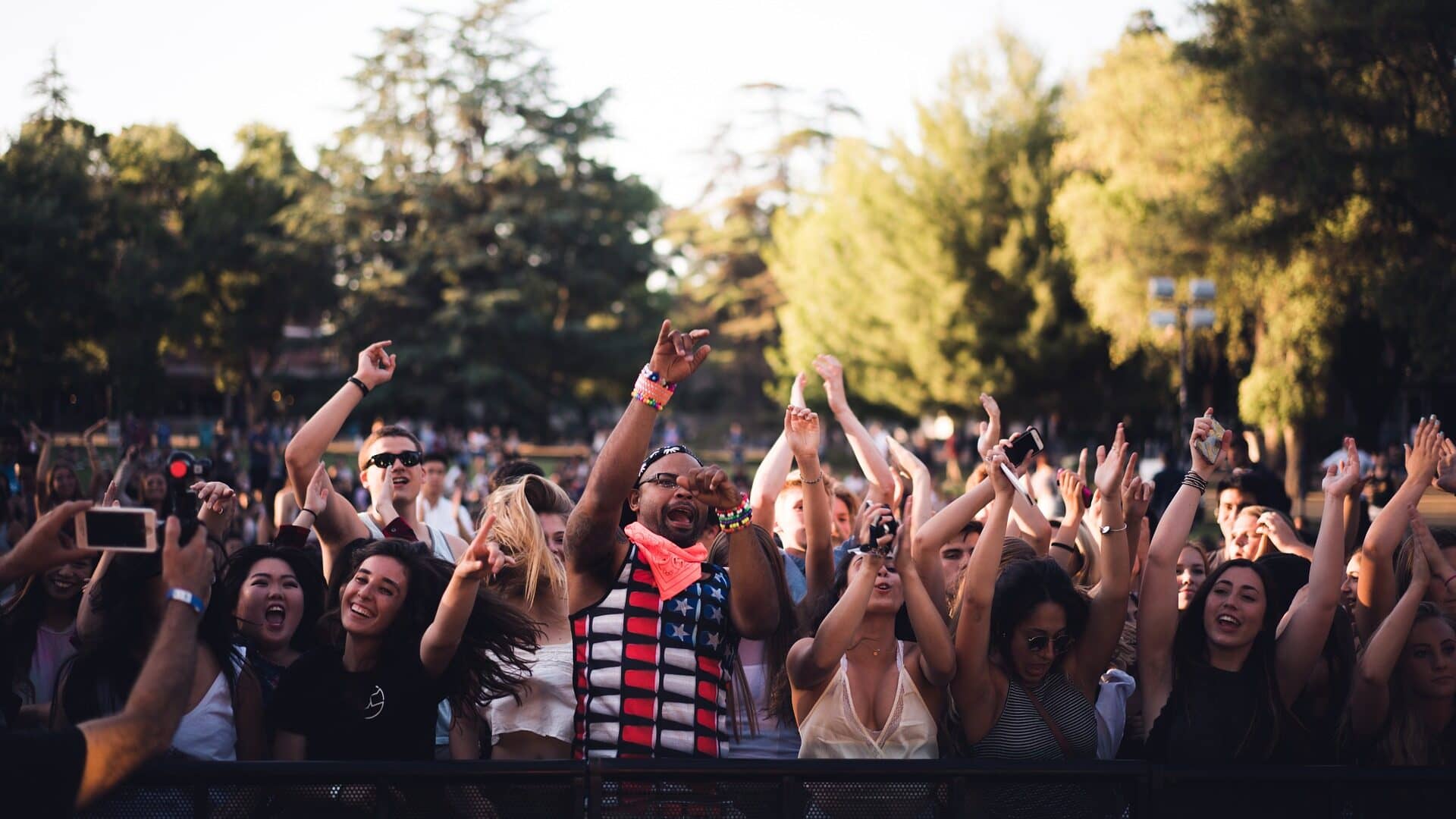 Image: People in a crowd dancing at a concert