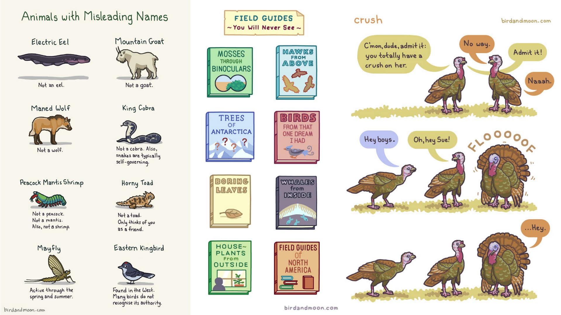 Image: A collection of three of Rosemary Mosco's comics