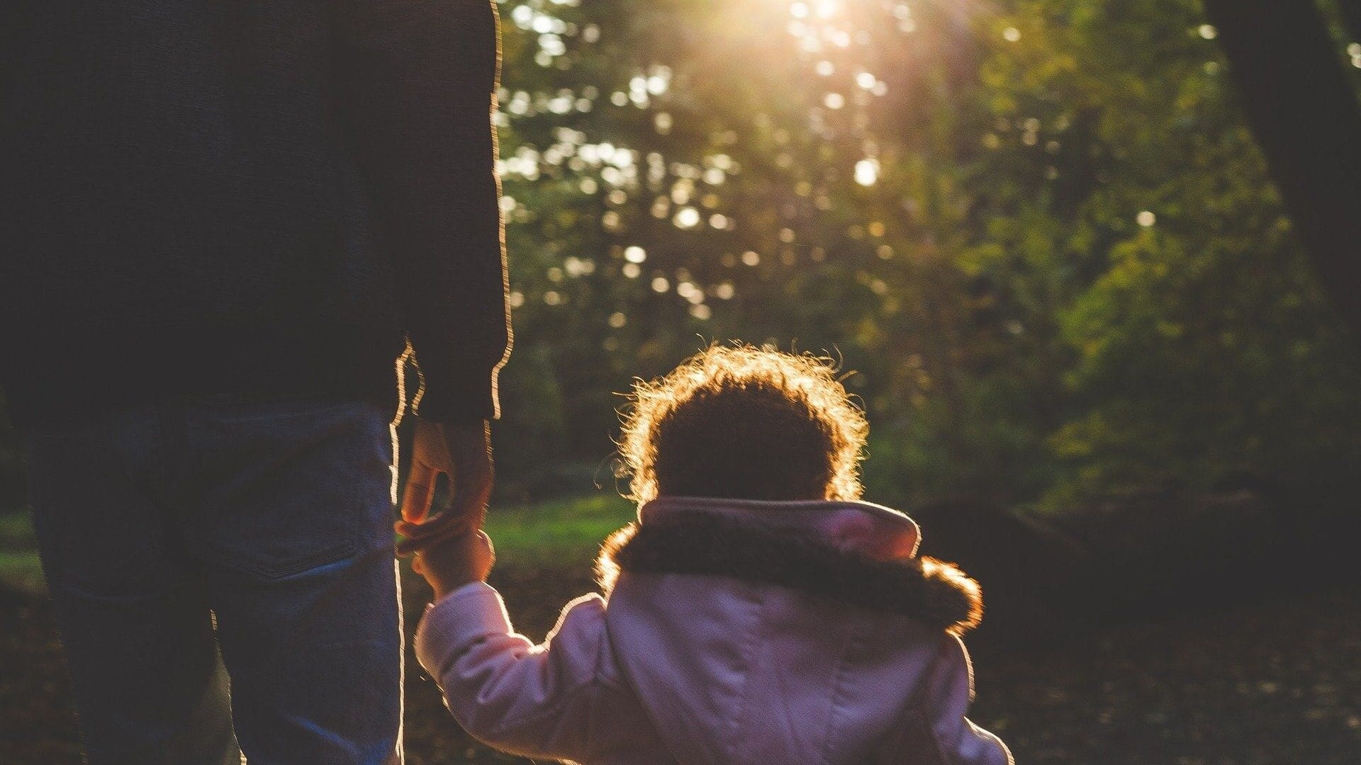 Image: child holding an adults hand, walking away from the camera into the woods towards the sun