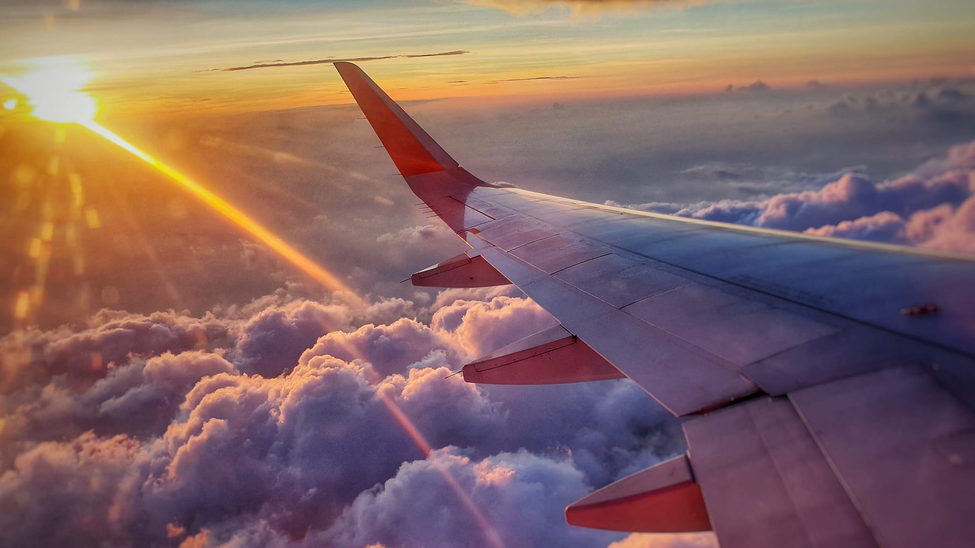 Image: The wing of an airplane, which may soon be using algae to fly