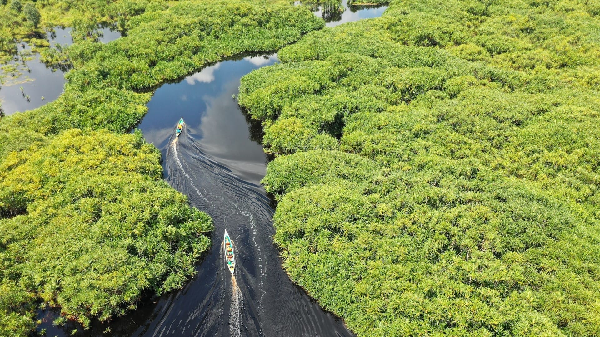 Image: Two boats headed up a river in the Amazon rainforest