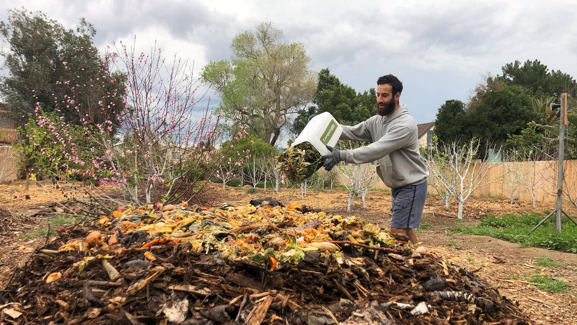 Image: Person throwing food waste onto a compost pile