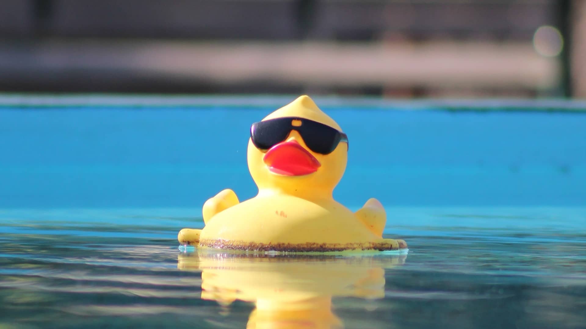 Image: A rubber ducky wearing sunglasses floating in a pool; just like the rubber ducky you could use to practice positive self-talk.