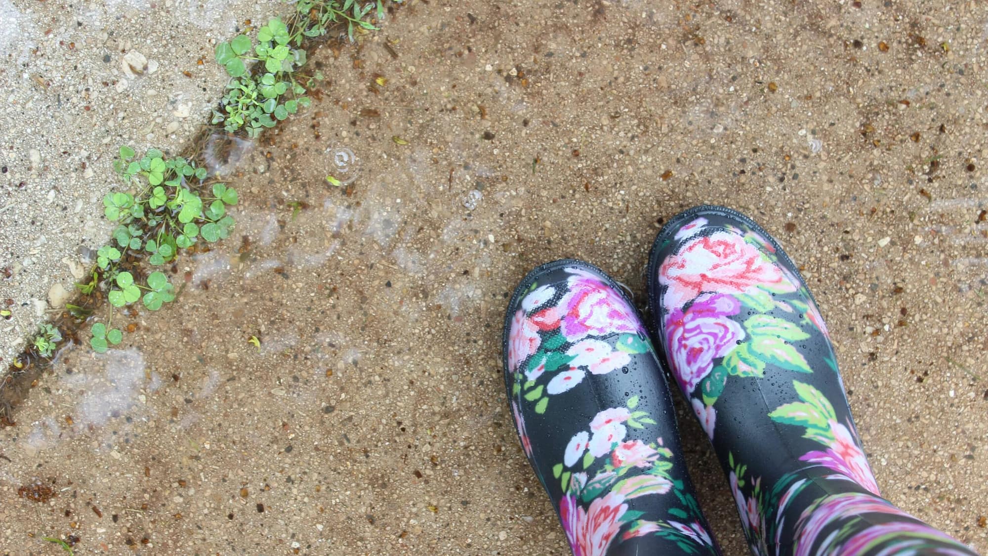 Image: Weeds growing in the cracks of a sidewalk, and a pair of floral patterned rain boots.