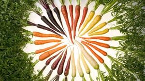 Image: Carrots of many colors arranged in a swirl