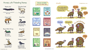 Image: A collection of three of Rosemary Mosco's comics