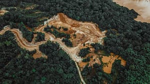 Image: The rainforest from above with a river running through it. Deforestation evident.