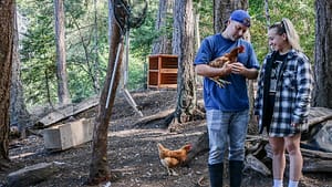Image: The couple who went a full year without buying groceries