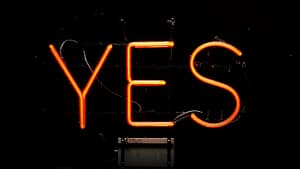 Image: neon sign saying yes