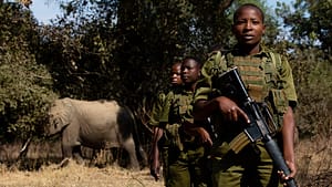 Image: Women Rangers are training to guard elephants from poachers