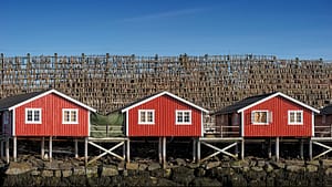 Image: Town with cod hanging to dry in the behind houses