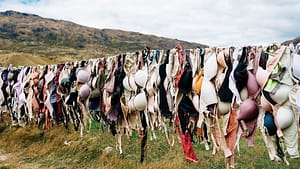 Image: Dozens of bras on a clothesline in a field