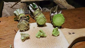 Image: Three types of wasabi ground up