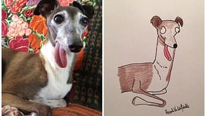 Image: side by side shot of someone's pet with tongue hanging out and their funny portrait!