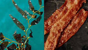 Image: A picture of kelp beside a picture of bacon, as a new kind of bacon is being made out of seaweed.