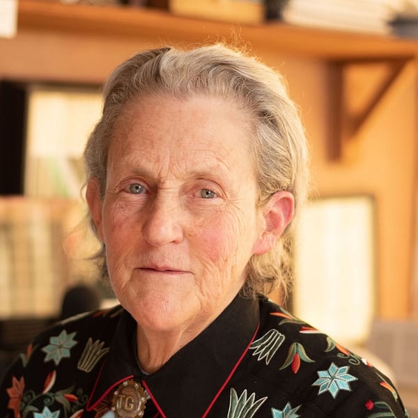 Image: Dr. Temple Grandin