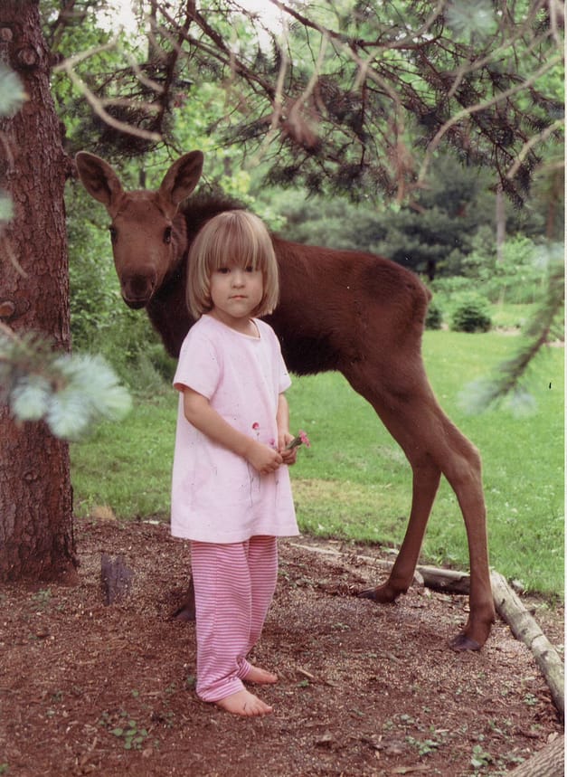 Image: A little girl with baby moose