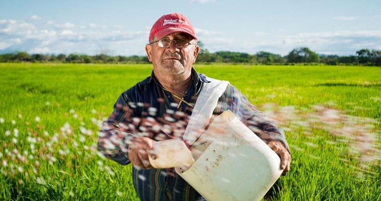 Image: Farmer in field looking at camera