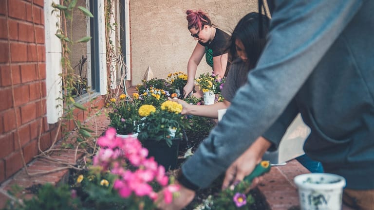 Image: Individuals tending to flowers in a community planter.