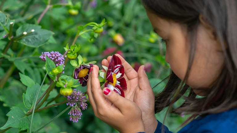 Image: A young girl cupping a flower in her hands. The flower sits among many other kinds of plants, displaying the biodiversity in her backyard.