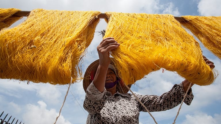 Image: A worm silk farmer hanging silk up to dry.