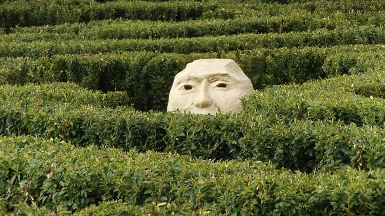 Image: A stone face peering up at the camera over a hedge maze, exercising brainpower.