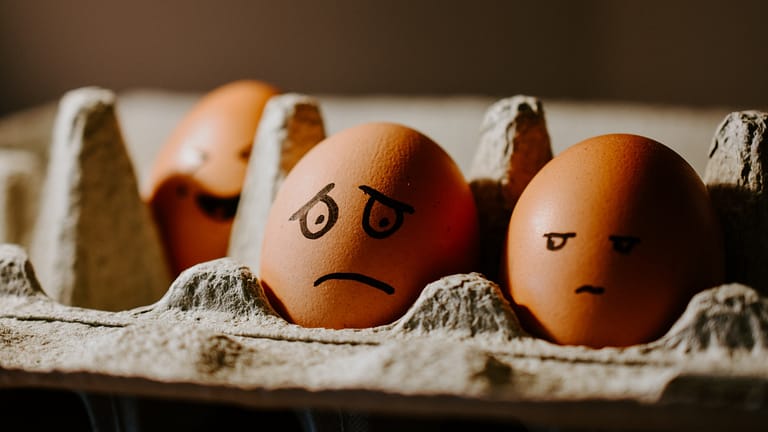 Image: Two eggs in a carton with drawn on faces, one looking worried and the other giving the first egg side eye