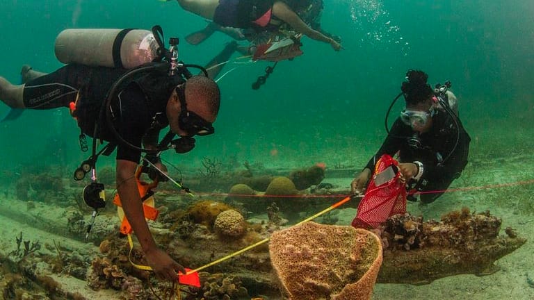 Image: Diving with a purpose divers surveying a ship wreck