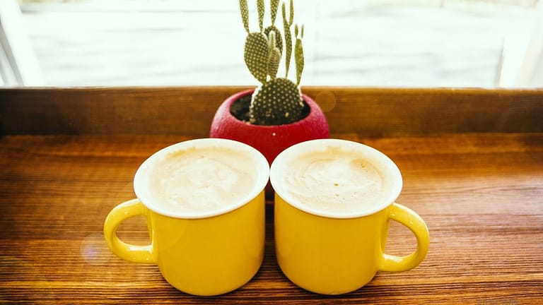 Image: Two coffee cups sitting in front of a cactus