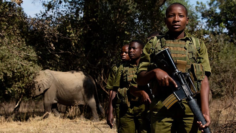 Image: Women Rangers are training to guard elephants from poachers