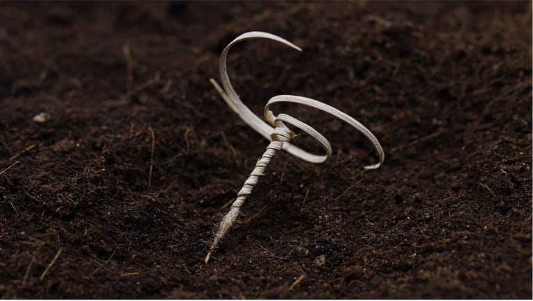 Image: Seed robot in the dirt