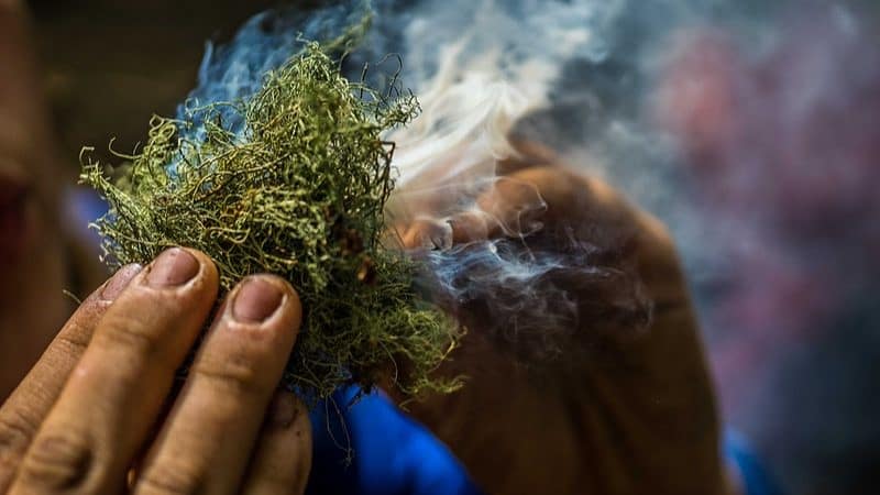 Image: a close up of someone coaxing smoke from moss trying to start a fire