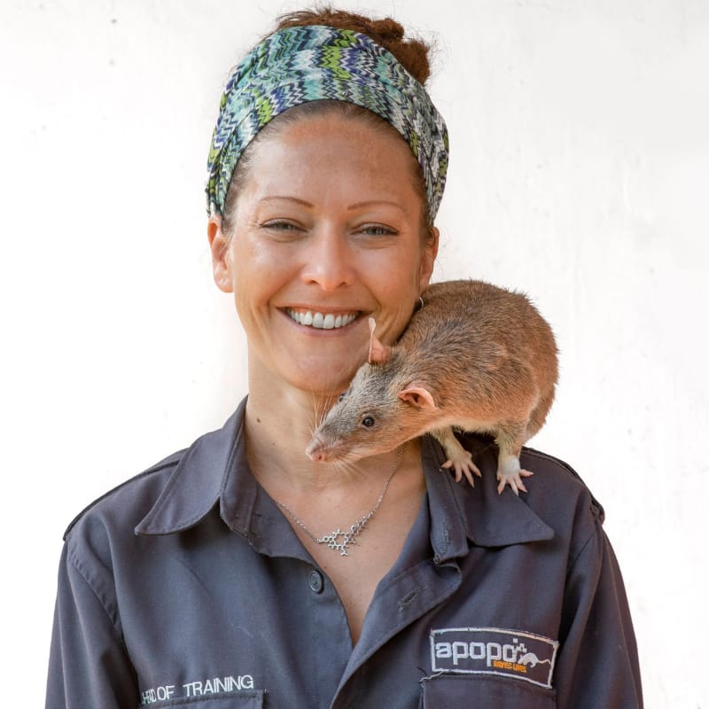 dr. cindy fast of apopo stands with a giant african pouched rat on her shoulder. She is smiling at the camera and wearing a gray-blue work shirt with the apopo logo on it, and the rat is standing on the collar, apparently sniffing the air