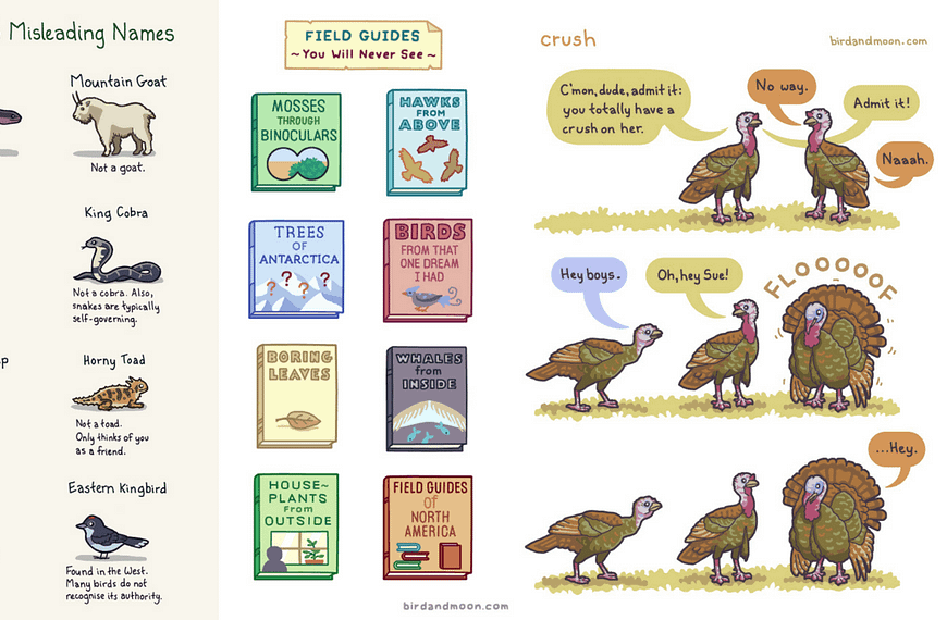 Image: A collection of three of Rosemary Mosco's comics